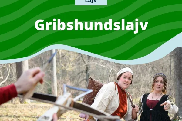 Gribshundslajv - "Den Gömda Skatten"
