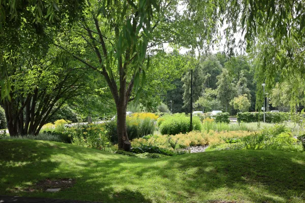 Aniaraparken