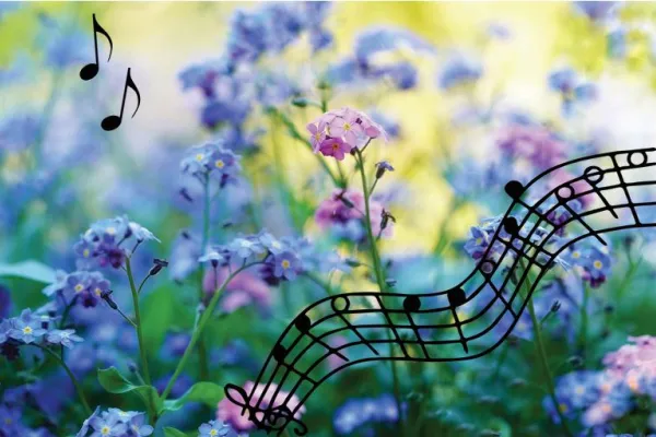Musik i sommarkväll Bredåkra friluftskapell