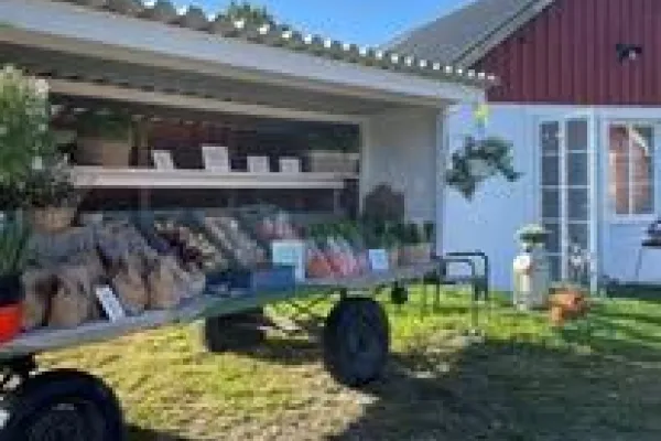 Fällgrens grönsaker i Belganet