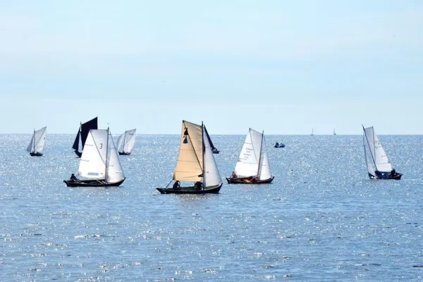 Segelbåtar