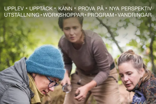 Vernissage & program Leran talar - Gårdsbutiksrundan 