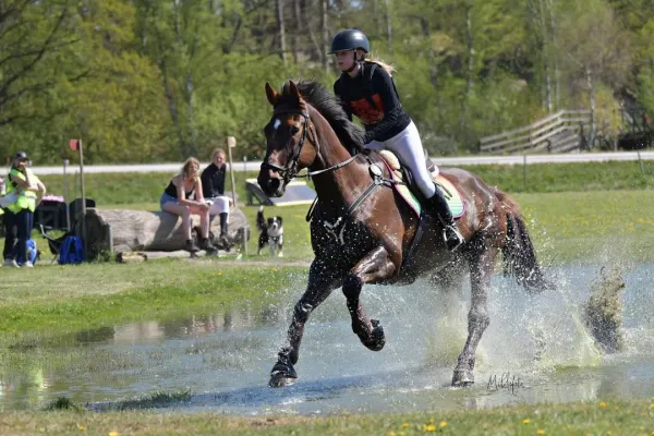 Ponny-SM i Bräkne-Hoby