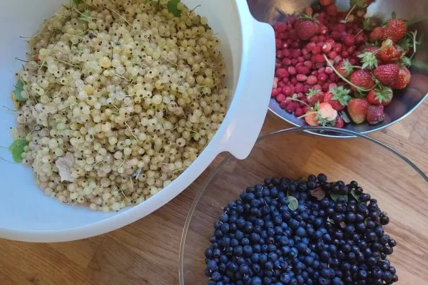 Evenemang på Gårdsbutik DAVIDU