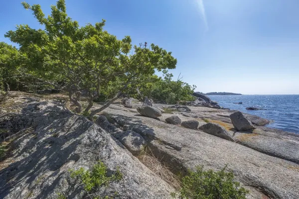 Tjärö Café 
