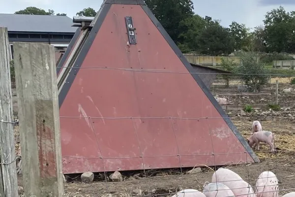 Lönneholmsgrisar - gårdsbutik