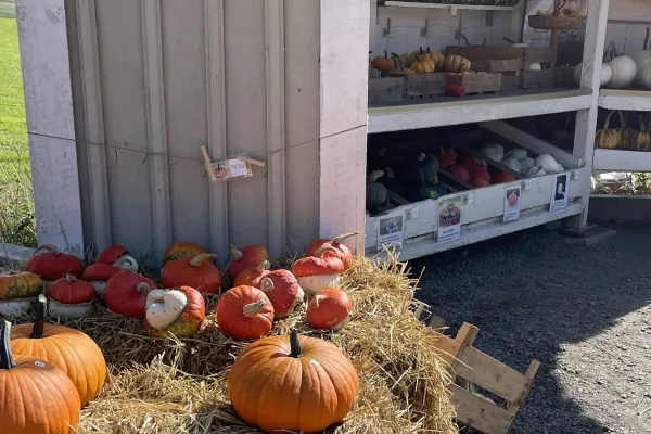Pumpaboden