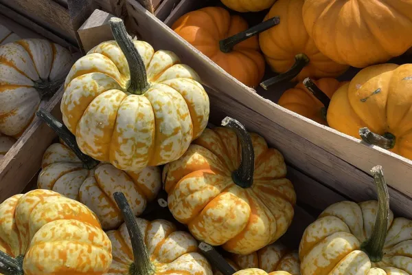 Pumpaboden