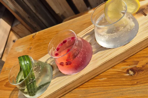 Ginprovning med Taste of Gin och gårdsförsäljning
