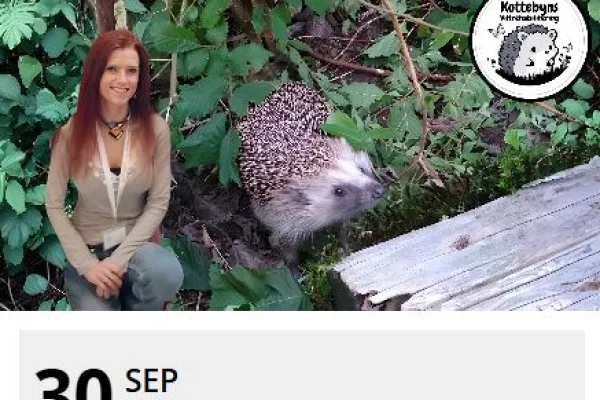 Igelkottarnas fascinerande liv