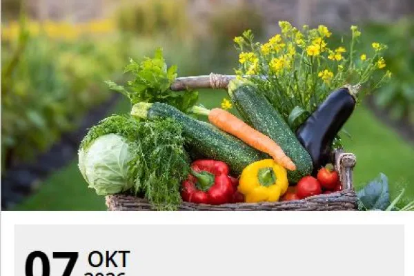 Mjölksyrning – naturlig konservering för nytta och hållbarhet