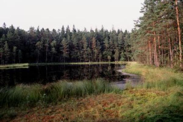 Nyteboda Forest 3 km, Olofstroem