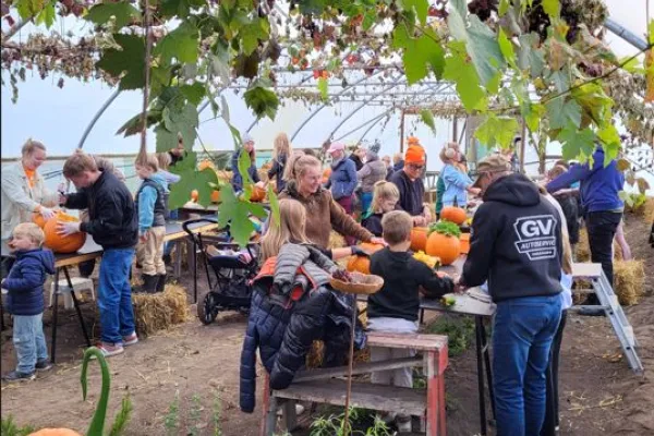 Pumpa-dag på Hasselstad Lantbod 