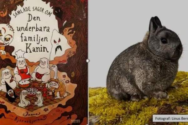 Bibliotekets lite läskiga men mysiga lördag!