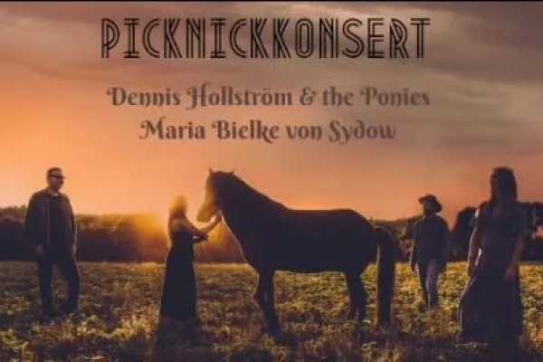 Picknickkonsert med Dennis Hollström & The Ponies