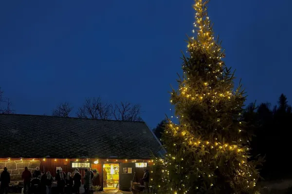 Julmarknad på Musteriet