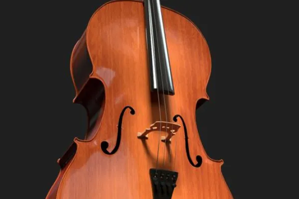 Cello – och kontrabasafton
