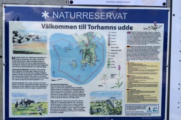 Torhamn's Udde