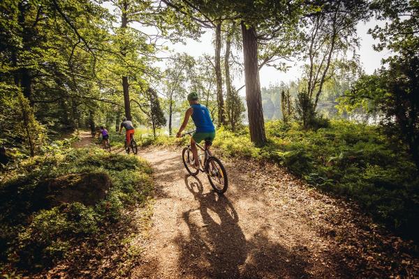 MTB cycling in the enchanted forest
