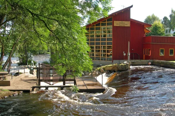 Fiskepremiär i Mörrum