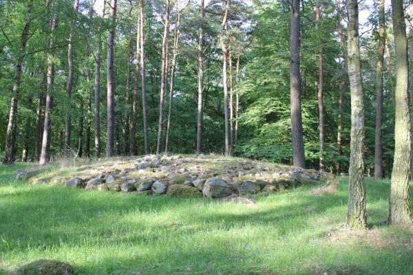 Lörby Skog - Iron age mounds