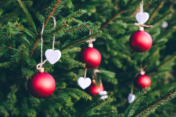 Julgranspynt