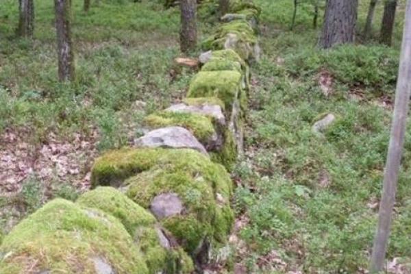 Old stone wall in the forest