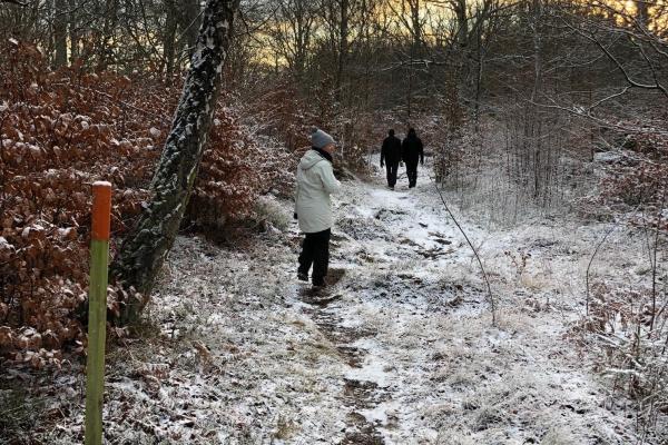 Hiking - Skärva trail