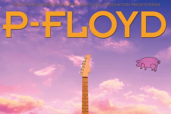 Concert - P-Floyd / Coming Back to Life Tour 