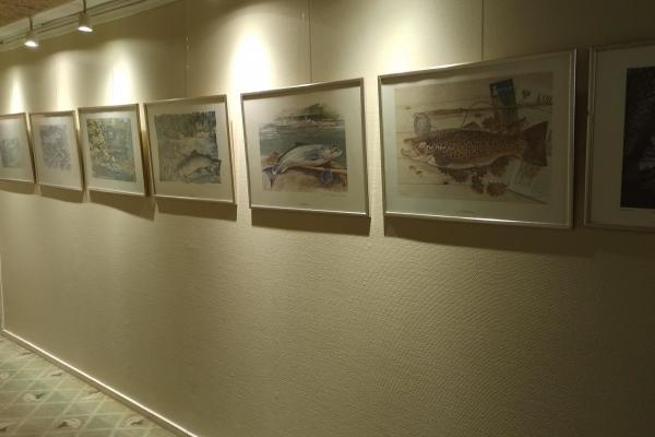 Exhibition -  fishes