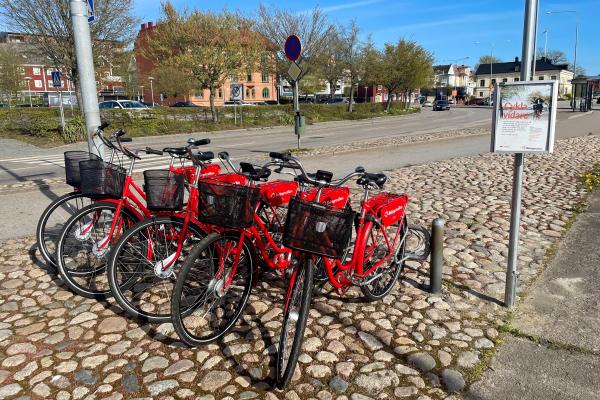 Bike rental by the guest harbour
