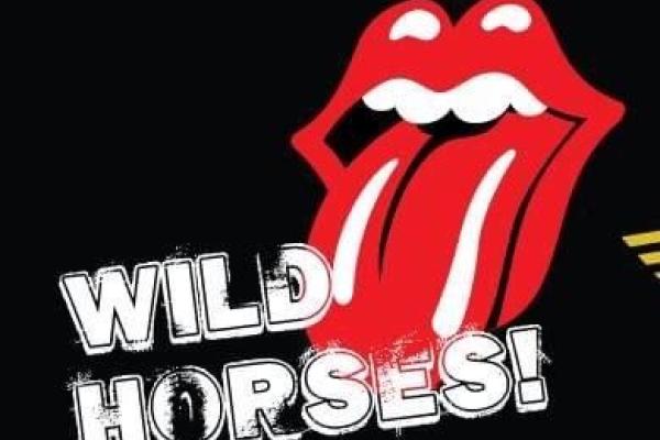 WILD HORSES hyllningskonsert till Charlie Watts live på Parken