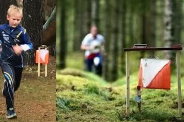 ORIENTERING 2022 I HÄLLEVIK- Hälleviks camping