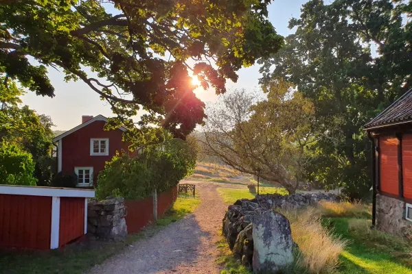 Skärgårdstrafiken startar från centrum