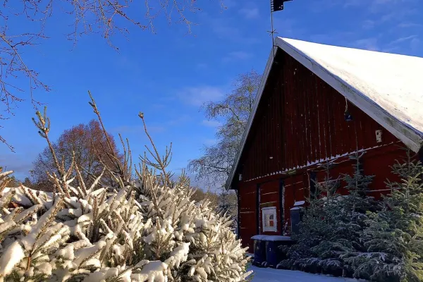 Julstämning på Riksdagsmannagården