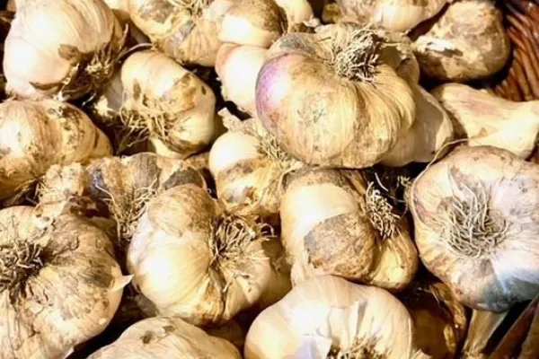 Grettlinge farmstore