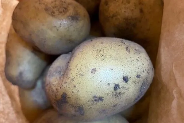 Grettlinge farmstore