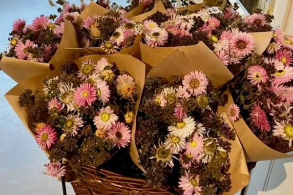 Grettlinge farmstore