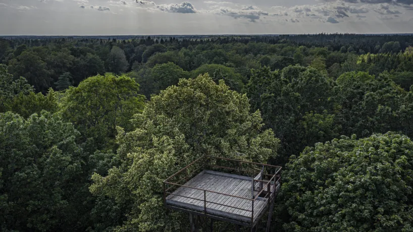 Sveriges Sydligaste vildmark i Olofström, Blekinge