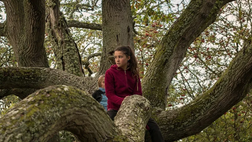 Outdoor i Olofström, tjej som klättrat upp i ett träd