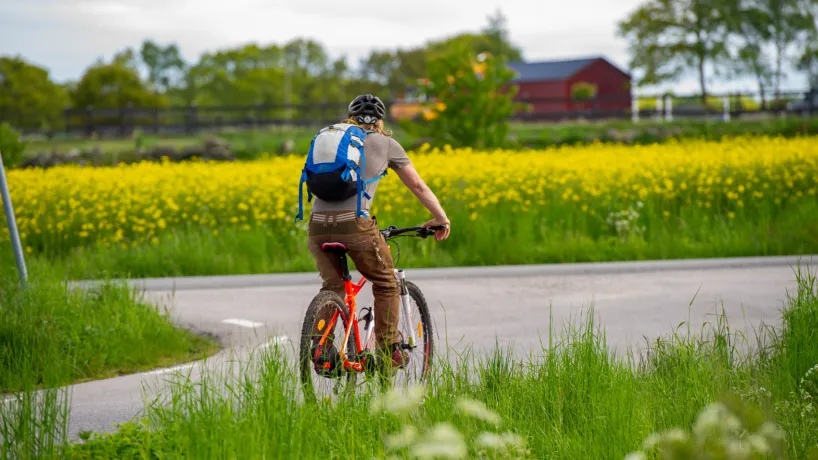 Biking in Listerlandet
