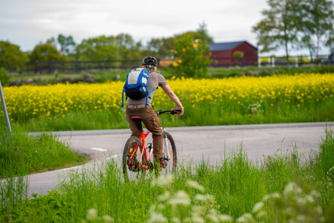 Biking in Listerlandet