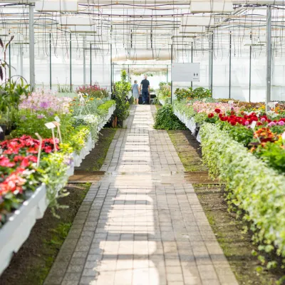 Sölvekulle handelsträdgård i Sölvesborg