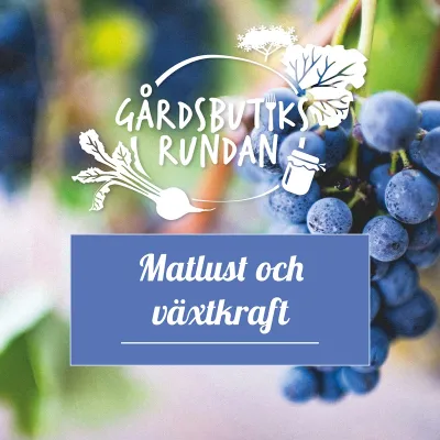 Gårdsbutiksrundan 2024