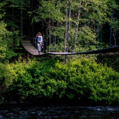 Mörrums kronolaxfiske