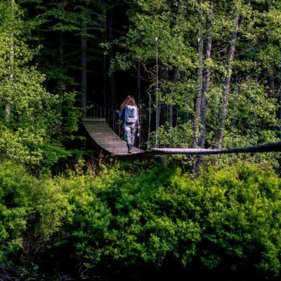 Hängbro för lättare nå pooler för fiske i Mörrumsån