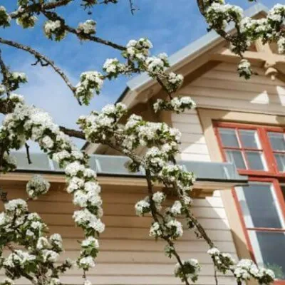 Ronneby Brunnspark Vandrarhem och B&B