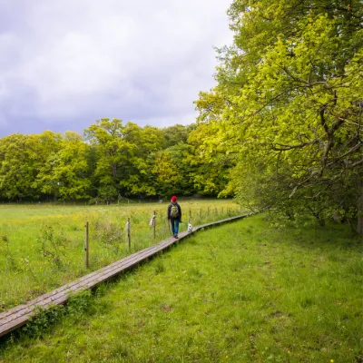 Ensam vandrare längs ARK56 sammanlänkade leder i Ronneby