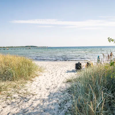 Sandvikens strand