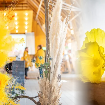 konstexplosion i Sölvesborg